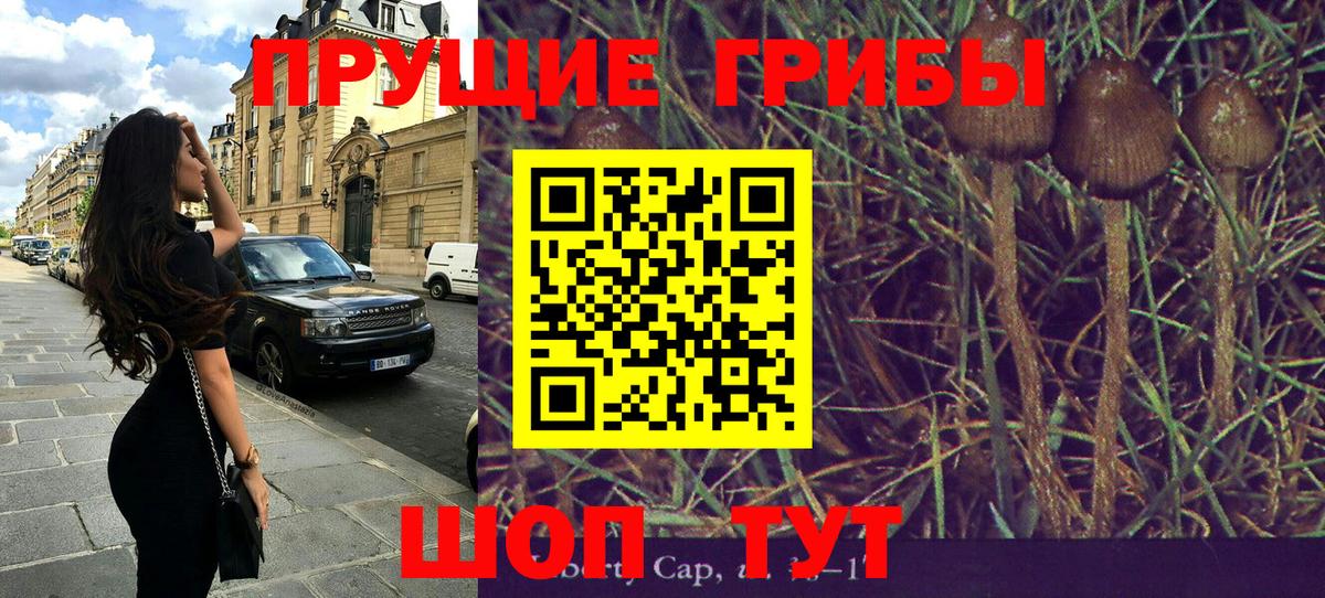 Ивантеевка  Галлюциногенные грибы Psilocybine cubensis  Вход с VPN 