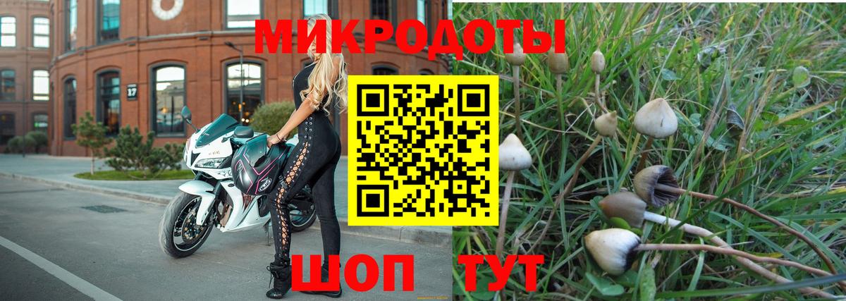 Галлюциногенные грибы MAGIC MUSHROOMS Ивантеевка